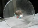 Verre à jambe, image 4/4