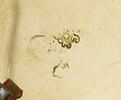 Montre ronde à double boîtier, image 6/6