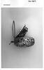 Montre de carrosse, image 6/11