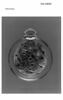 Montre squelette (plate à boîtier transparent), image 3/5
