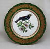 Assiette au Tangara du Brésil et à l'hibiscus, d'un ensemble (OA 10222 - OA 10225), image 1/4