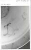 Petit vase Fontanieu, d'une garniture (OA 10939 à OA 10941), image 2/5