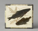 Petit cabinet, image 11/12