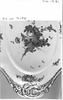 Plateau de terrine (TH 1380), image 16/22