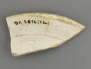 Fragment de l'aile d'un plat, image 2/3