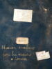Plaque : Daniel dans la fosse aux lions, image 4/4