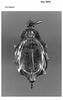 Montre en forme de coquille, image 5/6