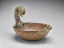 Coui des Indes, image 3/12