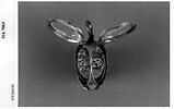 Montre en forme de tulipe, image 5/9