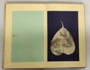 Album représentant vingt luohan 罗汉, image 9/30