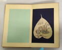Album représentant vingt luohan 罗汉, image 10/30