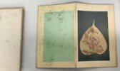 Album représentant vingt luohan 罗汉, image 22/30