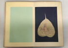 Album représentant vingt luohan 罗汉, image 25/30