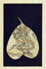 Album représentant vingt luohan 罗汉, image 1/30