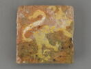 Carreau de pavement bicolore : lion rampant, image 1/2