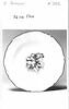 Assiette 