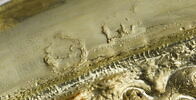 Plat de présentation (salva), image 4/7