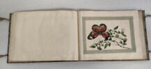 Petit album de peintures d'exportation: fleurs, oiseaux et insectes, image 8/31