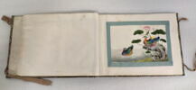 Petit album de peintures d'exportation: fleurs, oiseaux et insectes, image 31/31