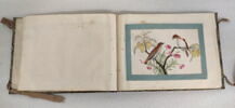 Petit album de peintures d'exportation: fleurs, oiseaux et insectes, image 20/31