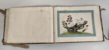 Petit album de peintures d'exportation: fleurs, oiseaux et insectes, image 21/31