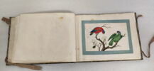 Petit album de peintures d'exportation: fleurs, oiseaux et insectes, image 23/31