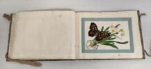 Petit album de peintures d'exportation: fleurs, oiseaux et insectes, image 24/31