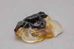 Crabe, image 2/3