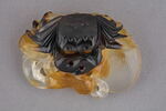 Crabe, image 1/3