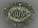 Bassin ovale : 