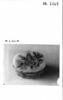 Tabatière ovale, image 2/2