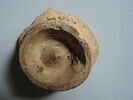 Fragment d'assiette, image 2/4