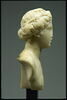 Buste : Bacchus, image 4/4
