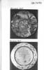 Fond de plat : la naissance d'Adonis, image 3/4
