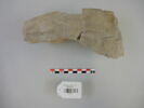 relief, image 1/2