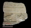 autel, image 1/3