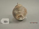 vase, image 2/2