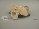 vase, image 2/2