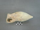 vase, image 1/4