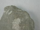 stèle ; relief, image 4/7