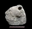 sculpture, image 4/7