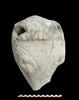 sculpture, image 6/7