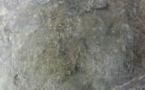 crapaudine, image 2/2