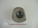 crapaudine, image 1/3