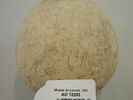 vase, image 2/2