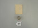 balle de fronde  ; bouchon de vase, image 1/2