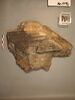 tablette, image 2/2
