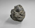 statue, image 1/4