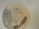 vase, image 3/3