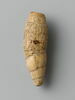 coquillage, image 1/6